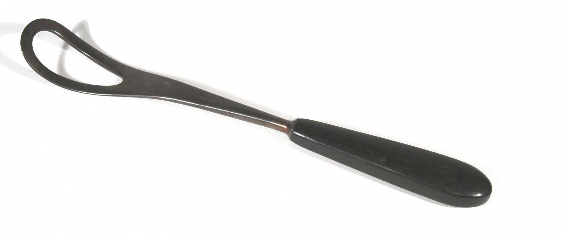 Magnified image for image #1