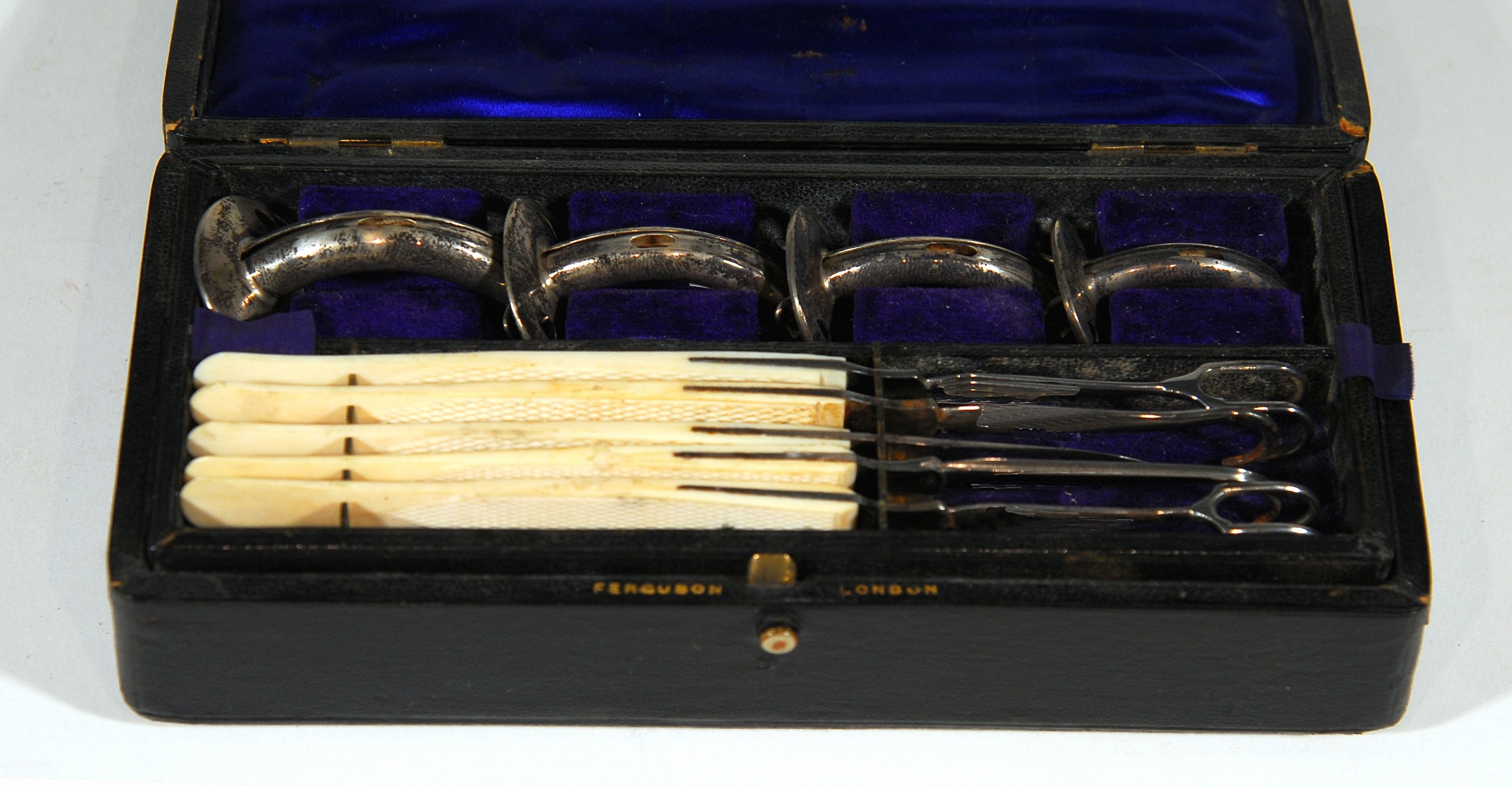 Magnified image for image #1