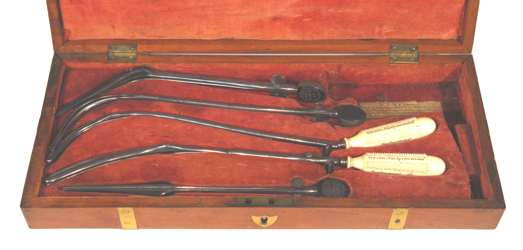 Magnified image for image #1