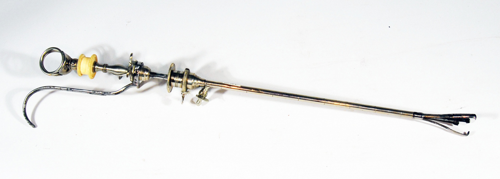 Magnified image for image #1