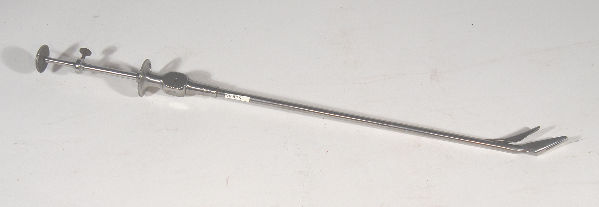 Magnified image for image #1