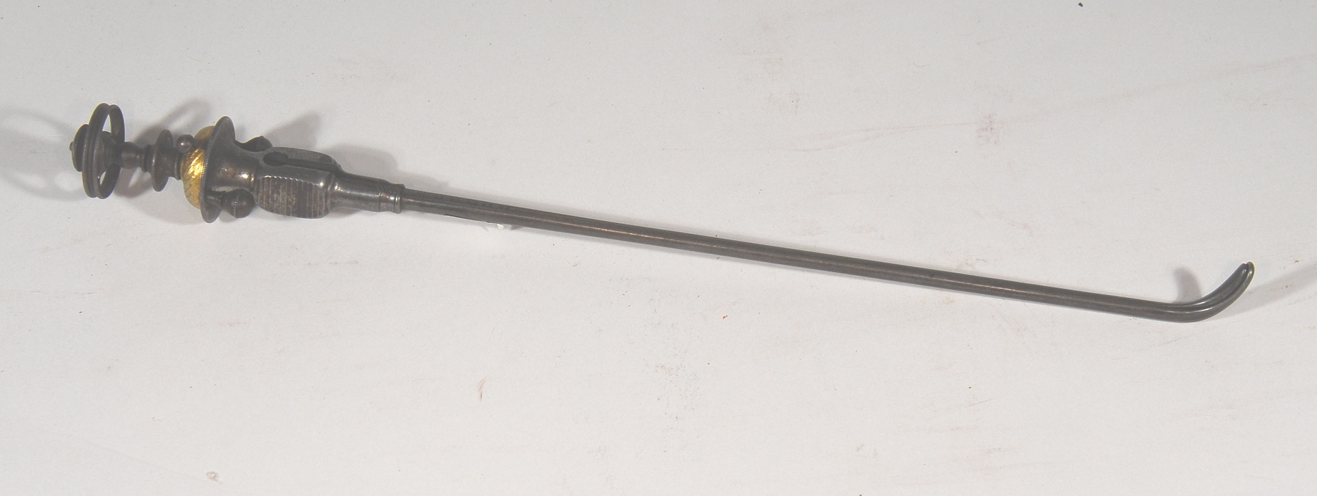 Magnified image for image #1