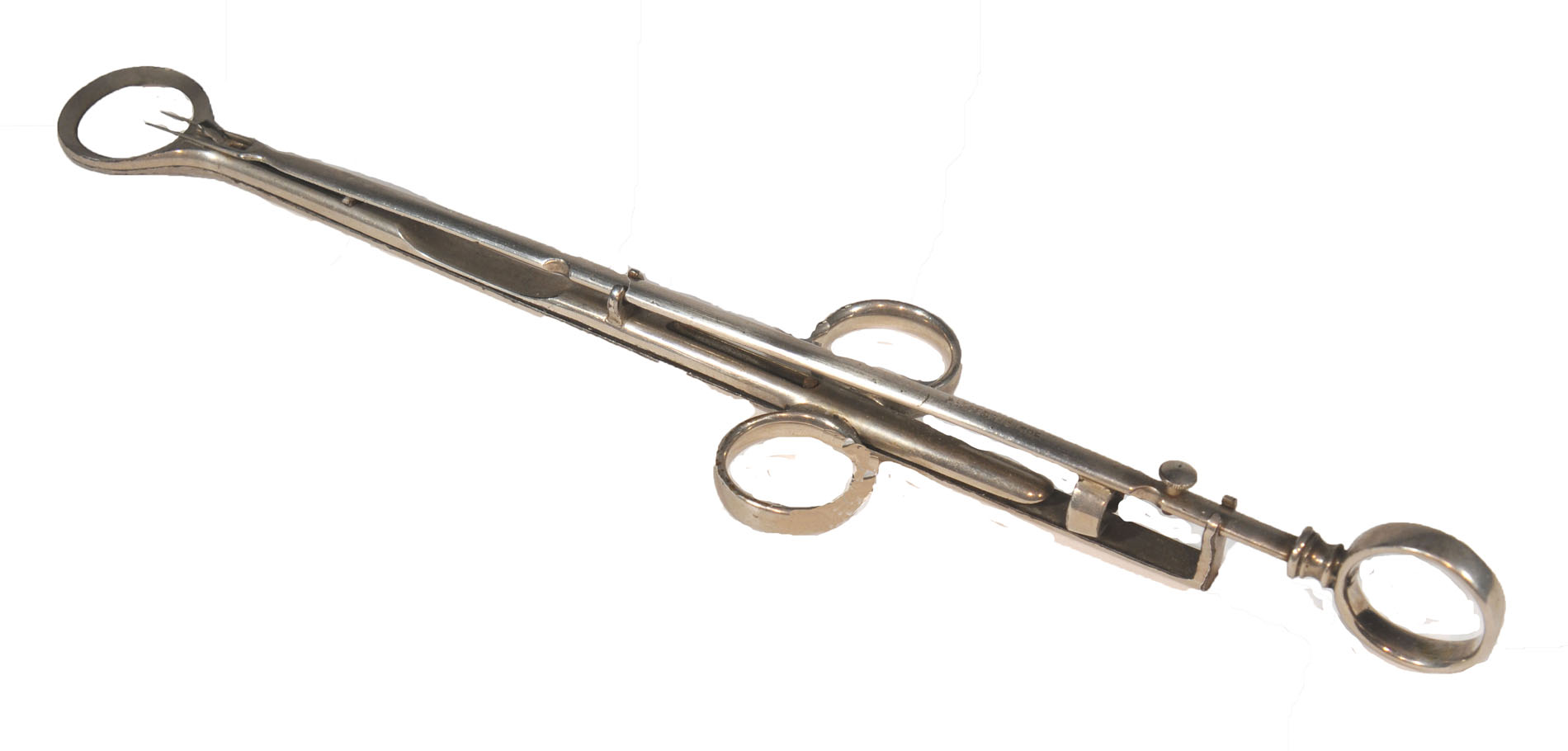 Magnified image for image #1