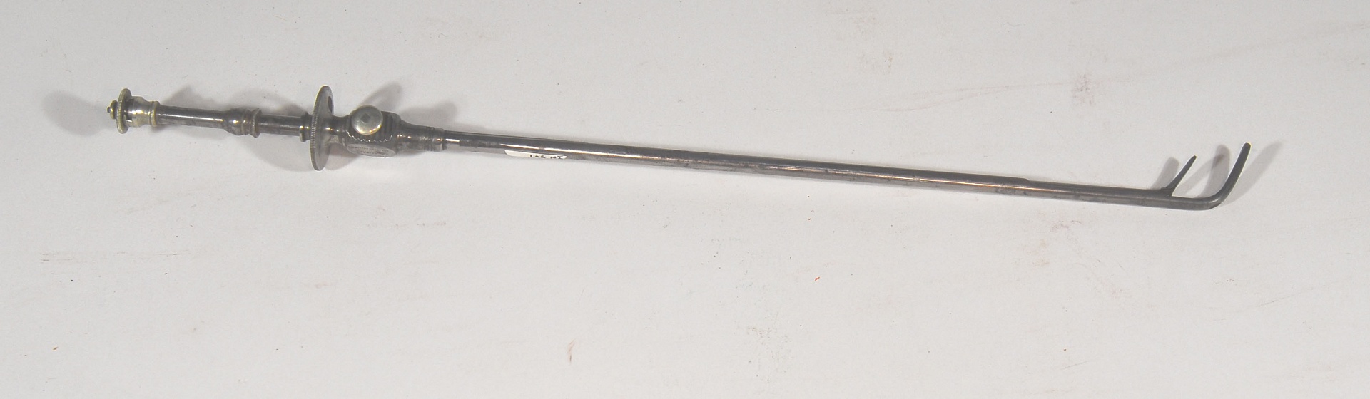 Magnified image for image #1