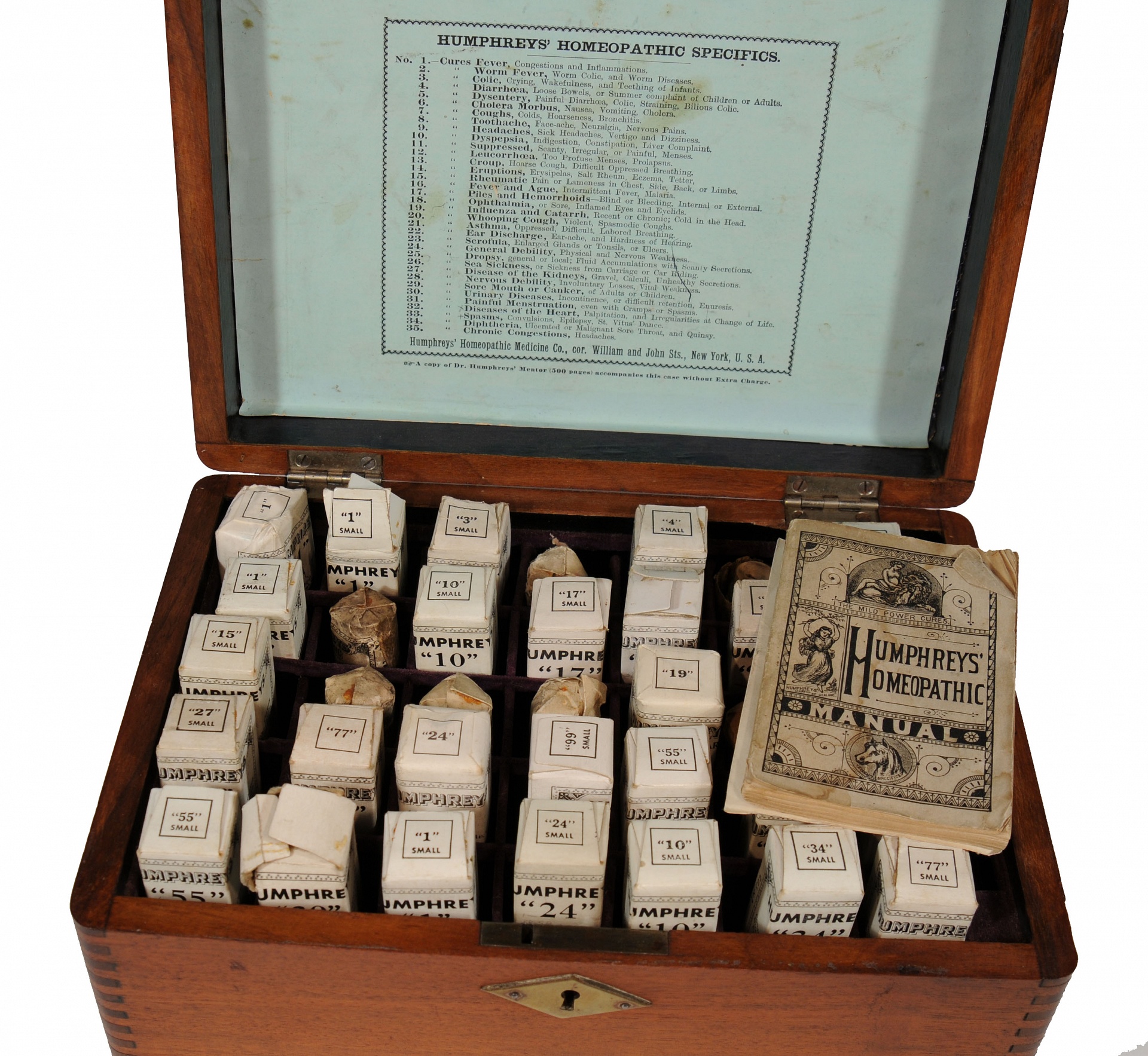 Magnified image for image #1