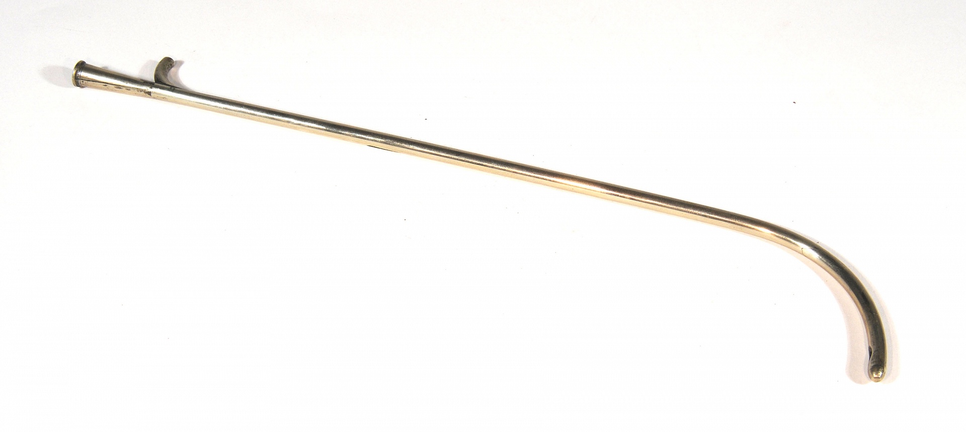 Magnified image for image #1