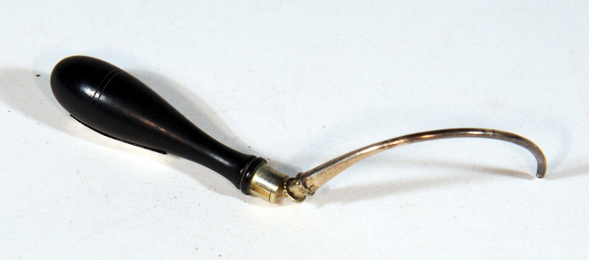 Magnified image for image #1