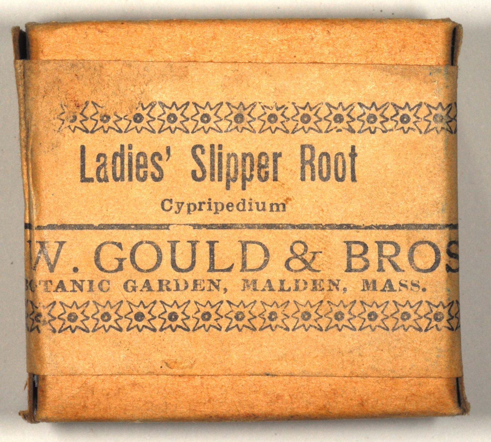 Magnified image for image #1