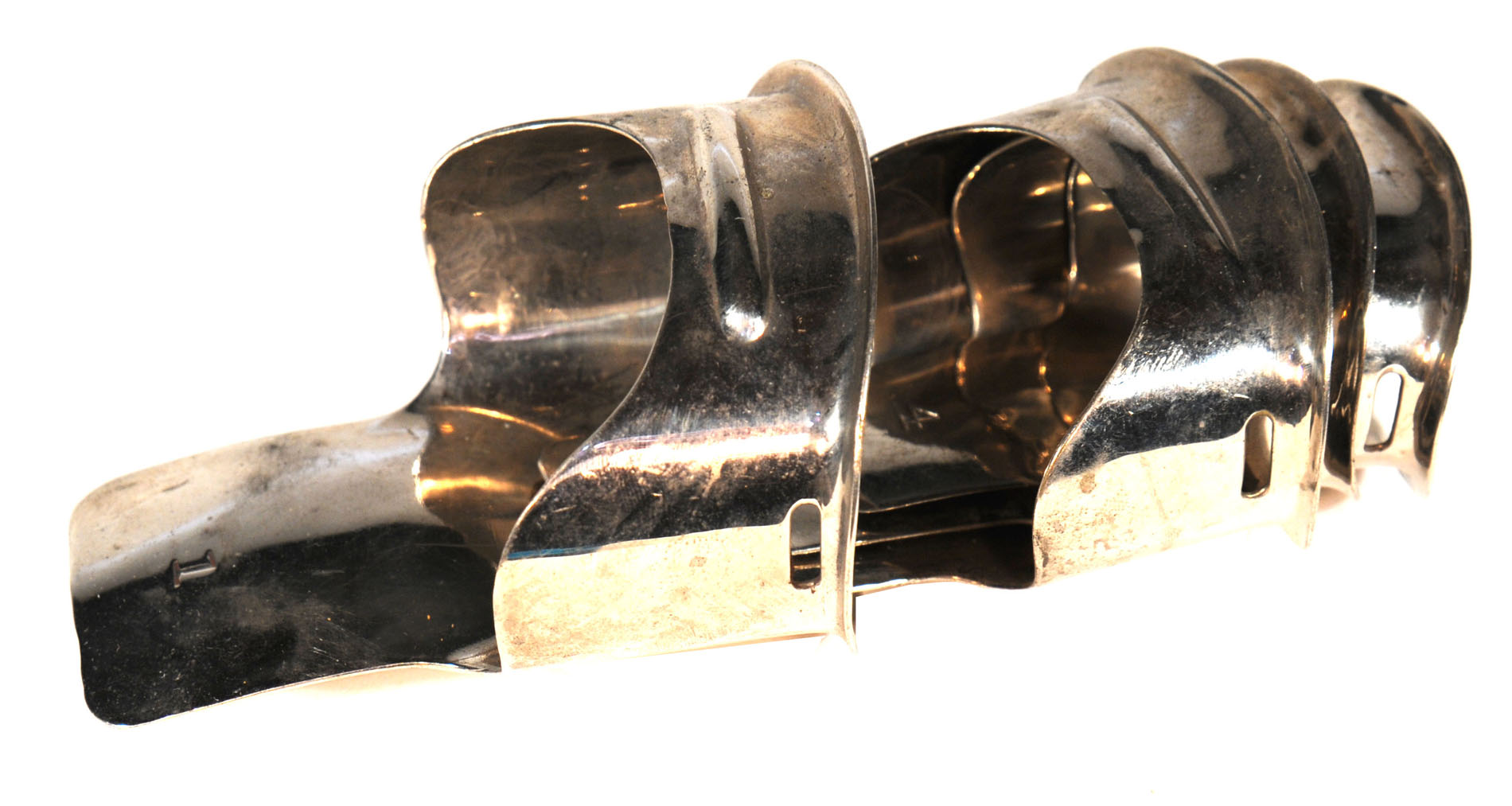 Magnified image for image #1