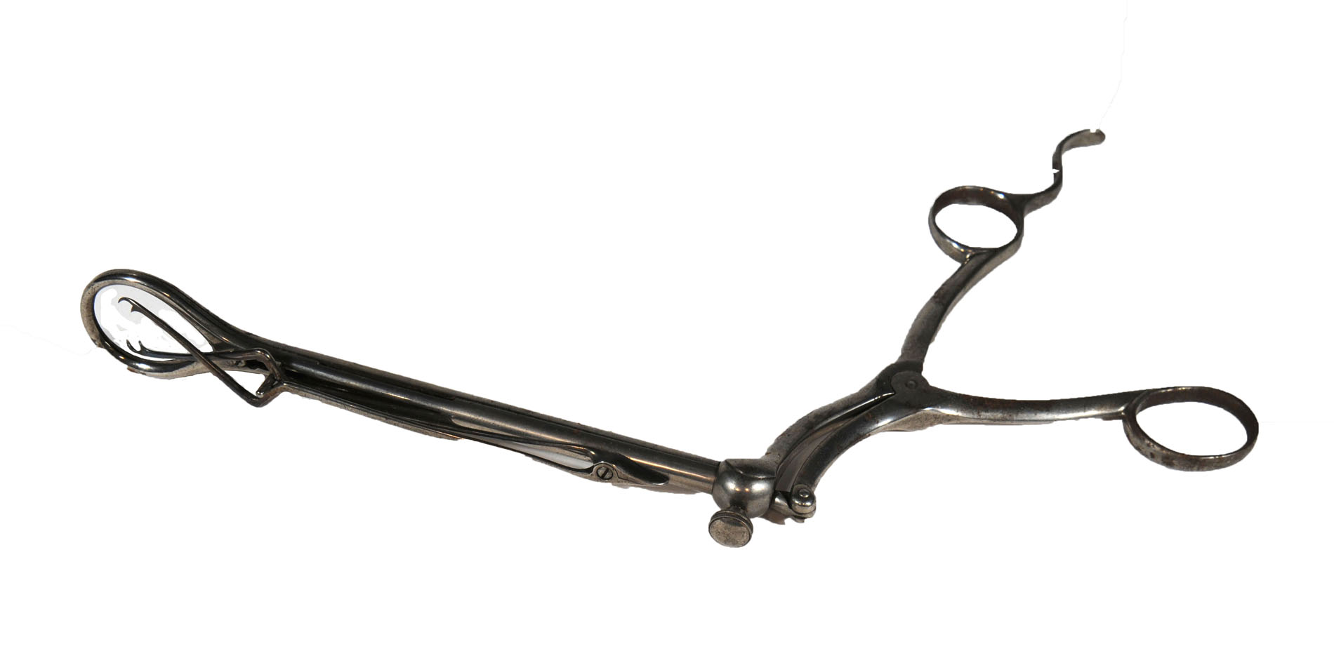 Magnified image for image #1