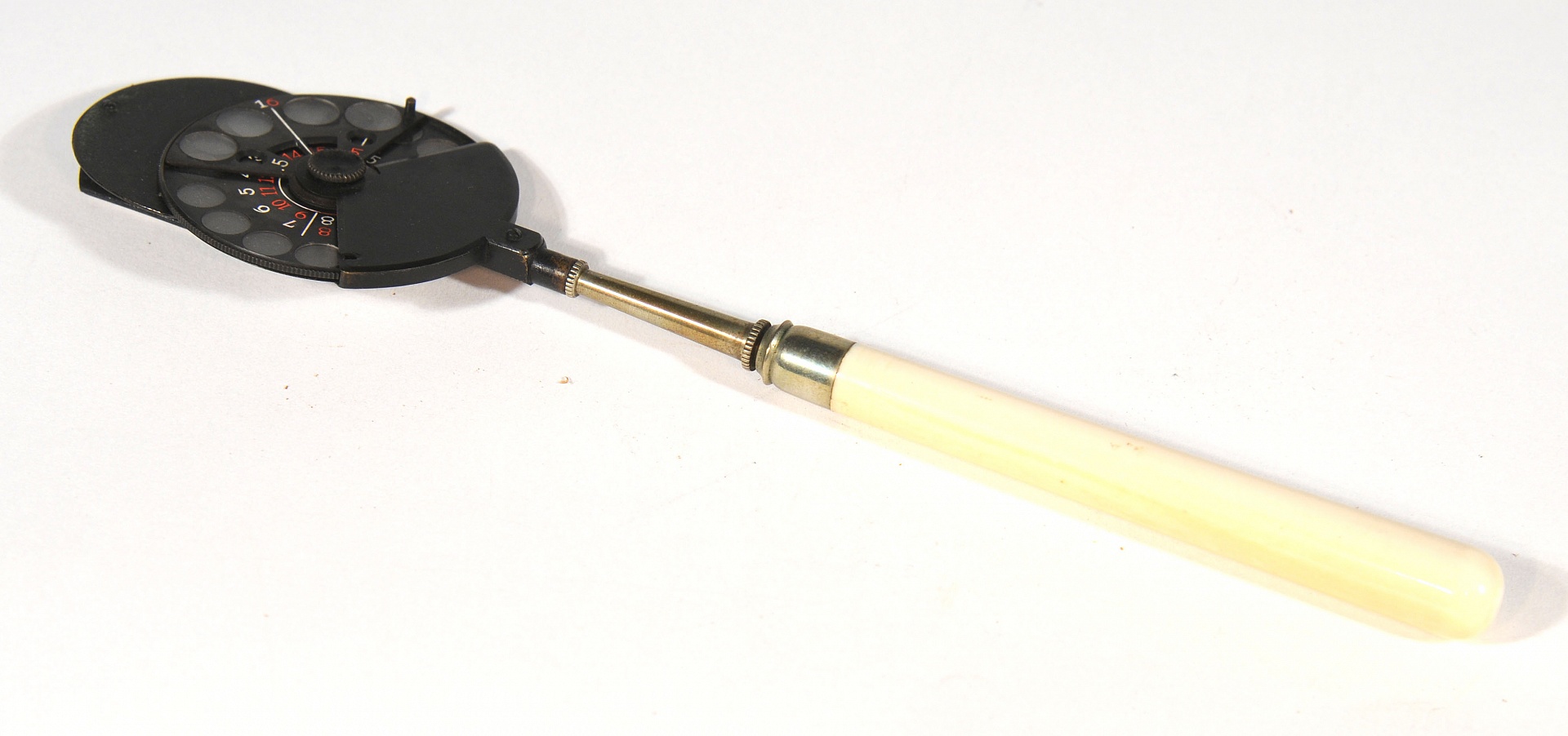 Magnified image for image #1