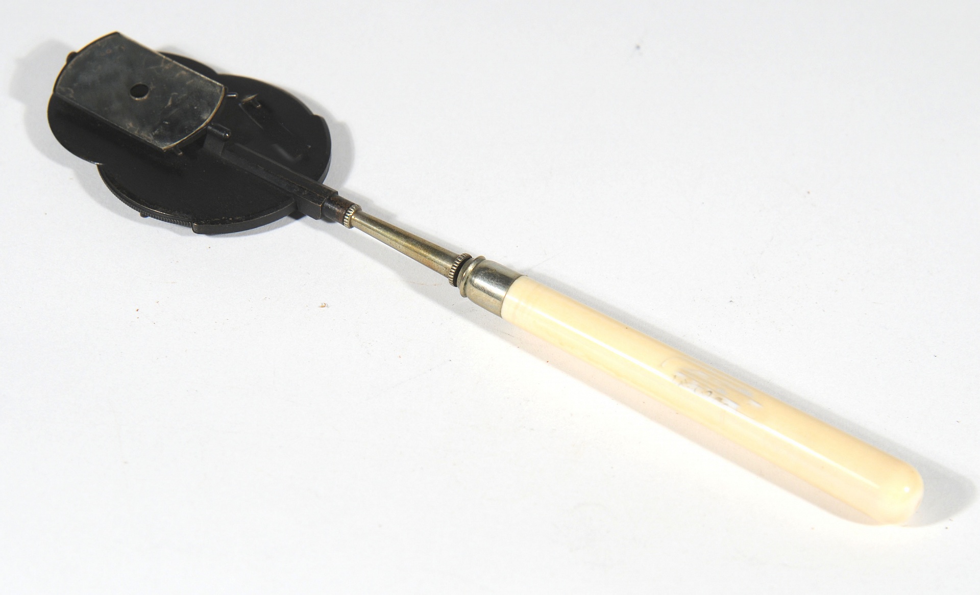 Magnified image for image #2