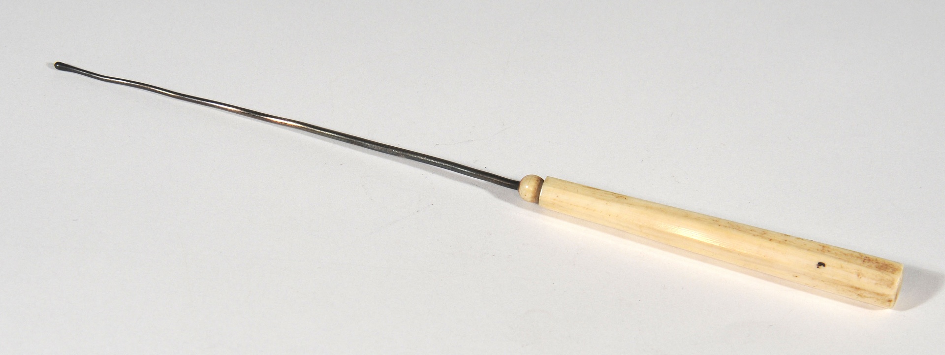 Magnified image for image #1