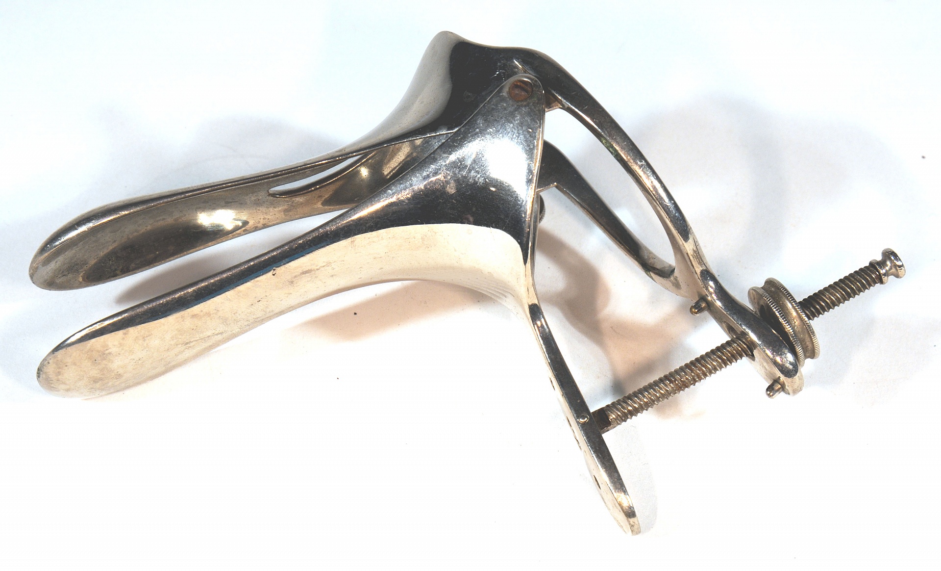 Magnified image for image #1