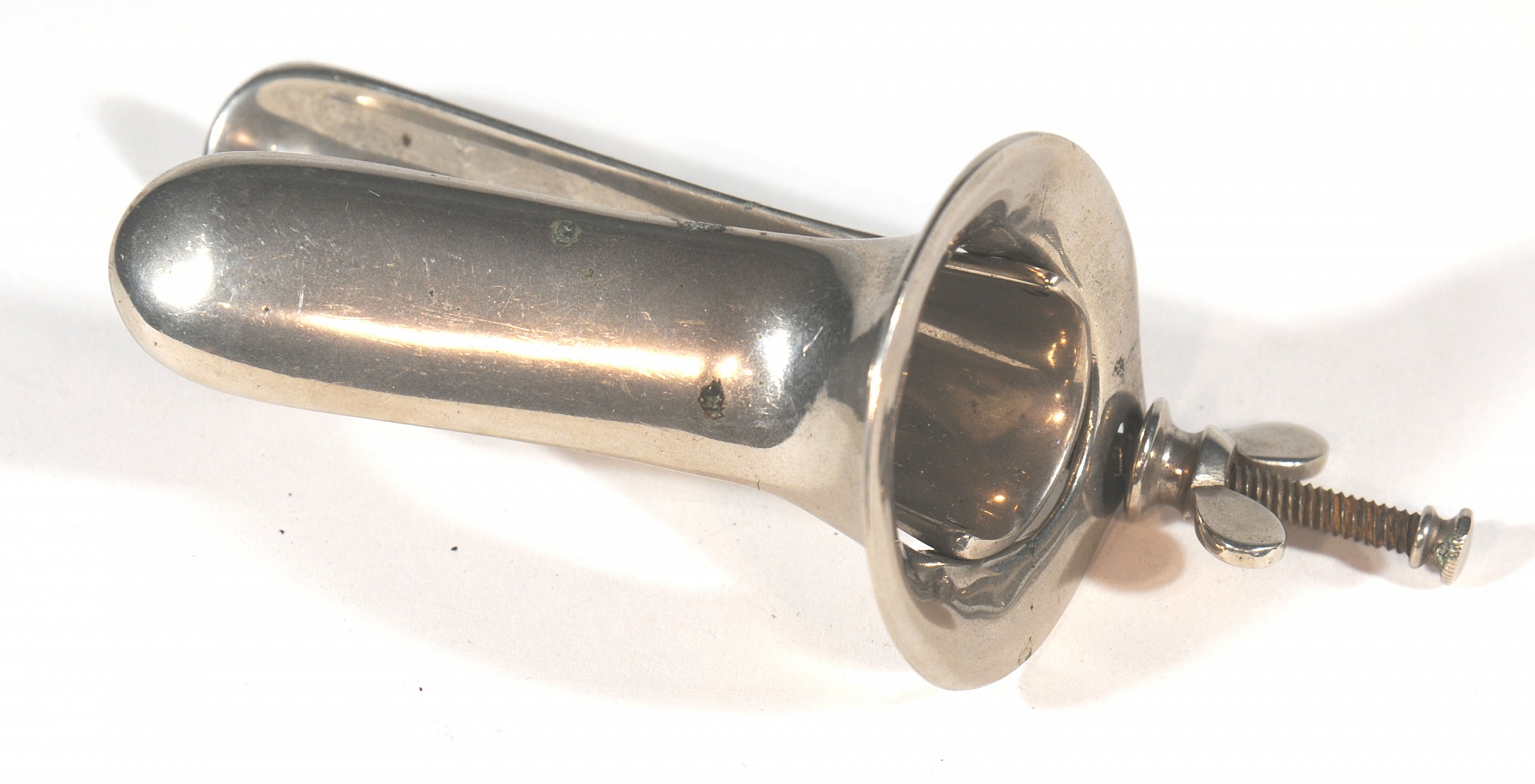 Magnified image for image #1