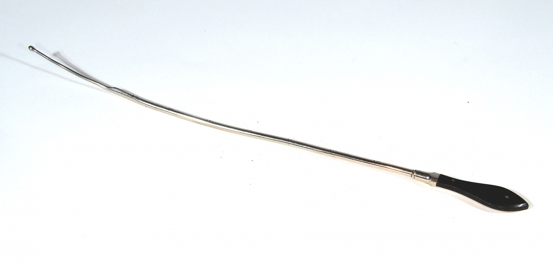 Magnified image for image #1