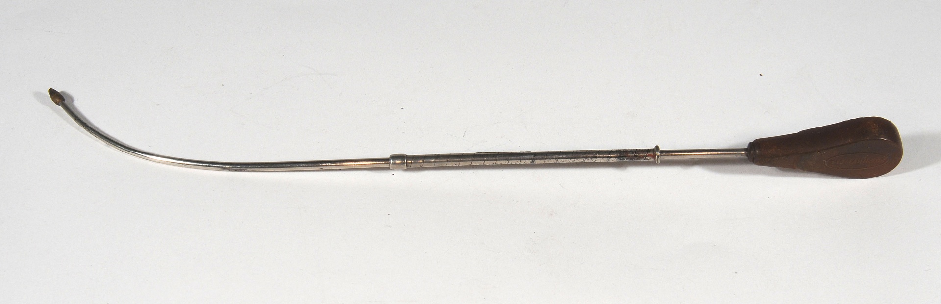 Magnified image for image #1