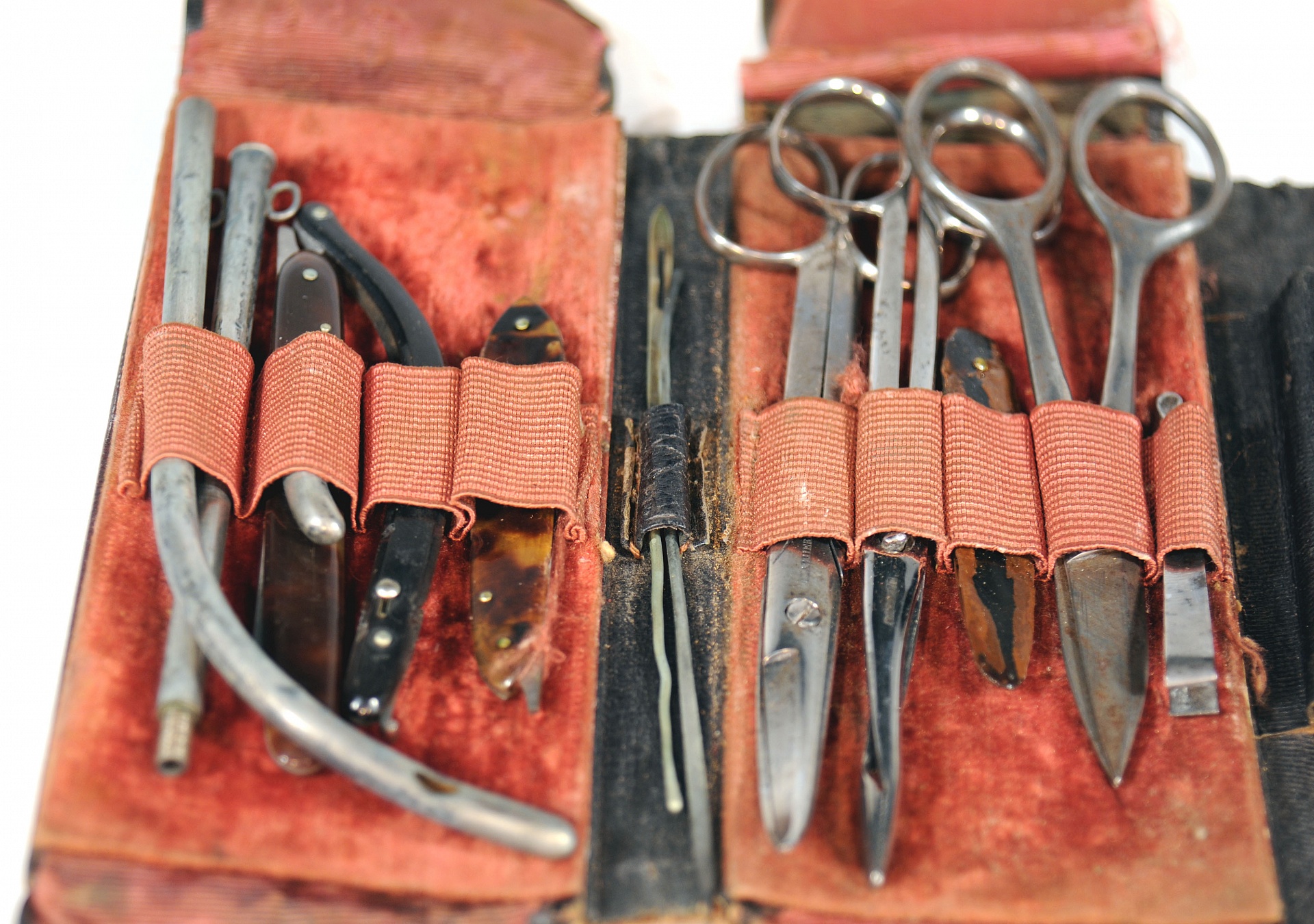 Magnified image for image #1