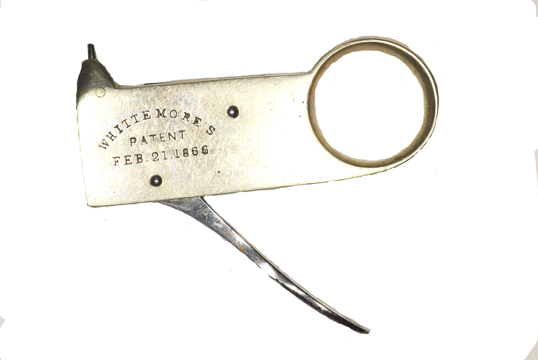 Magnified image for image #1