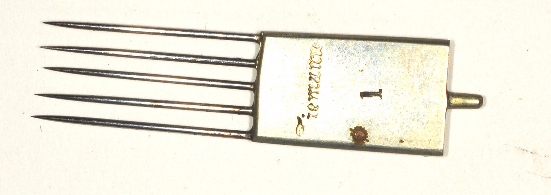 Magnified image for image #1