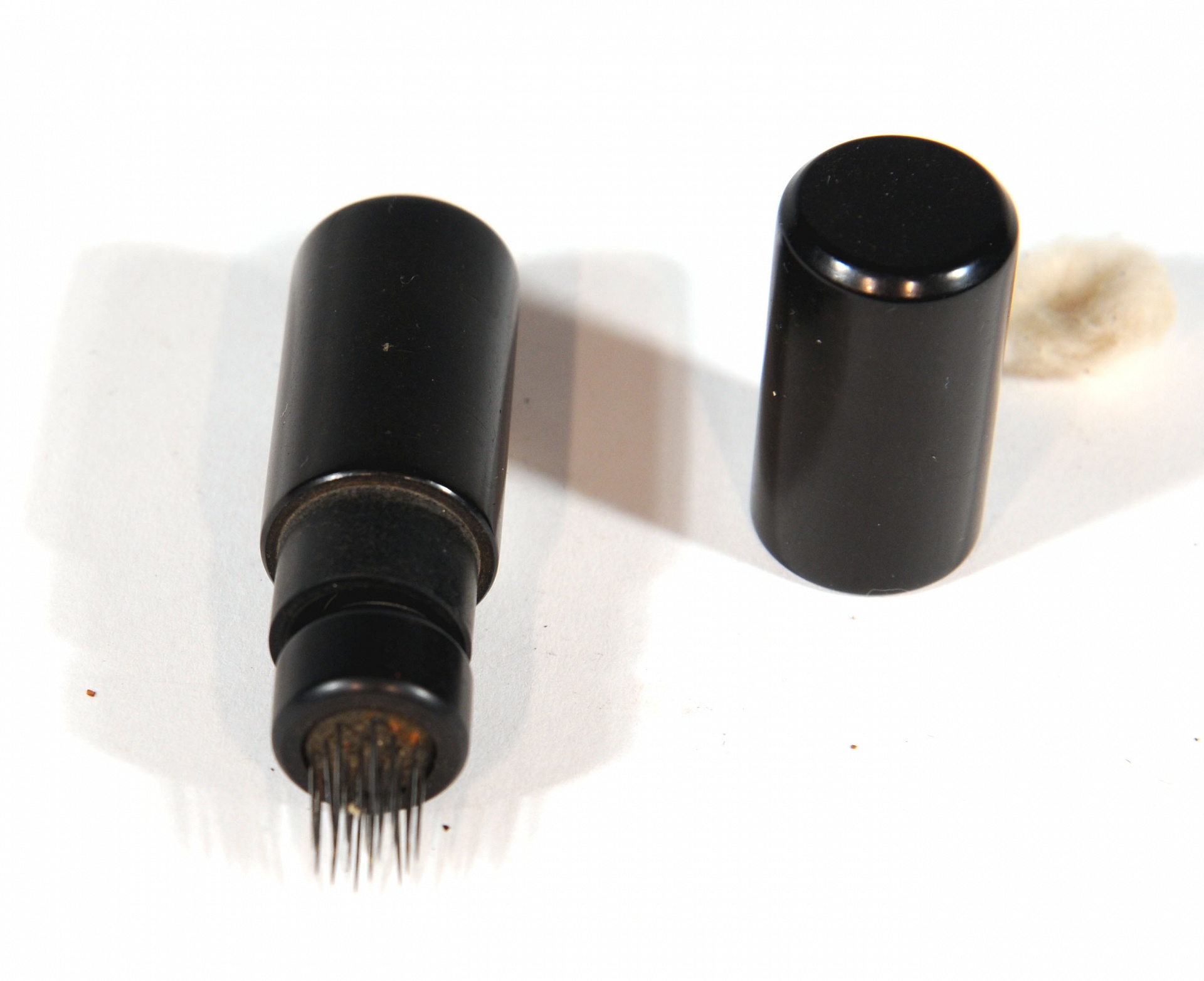 Magnified image for image #1