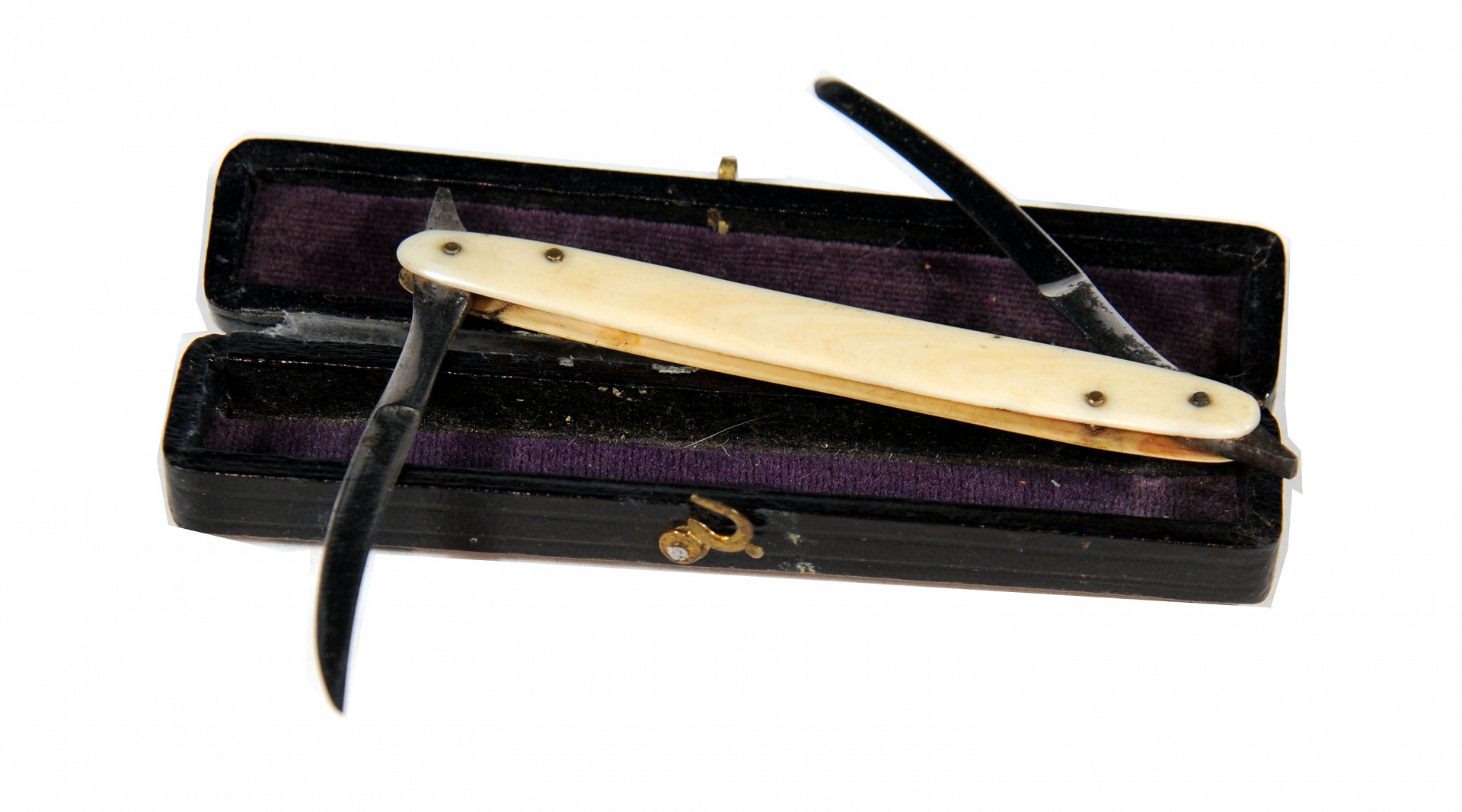 Magnified image for image #1