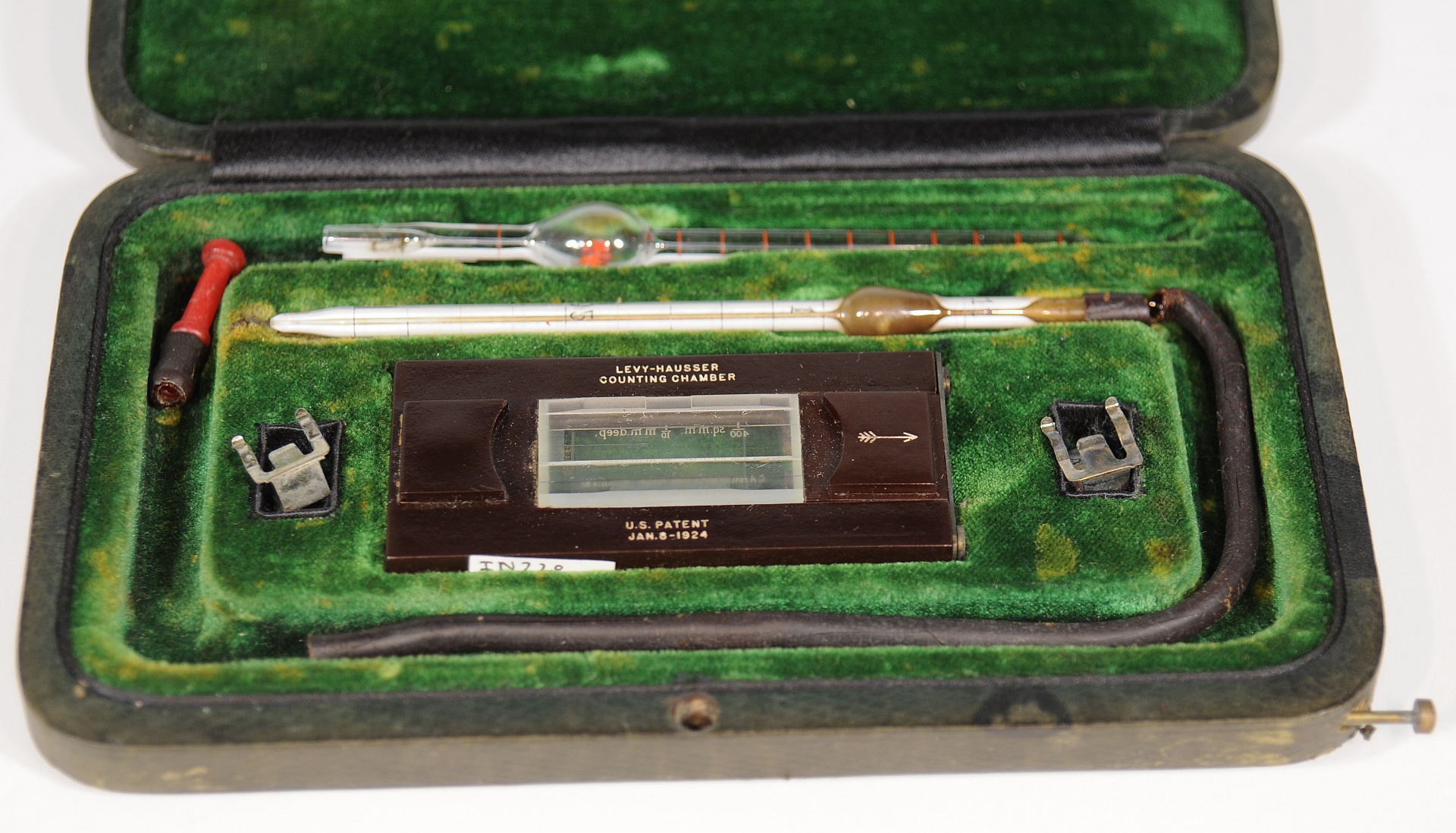 Magnified image for image #1