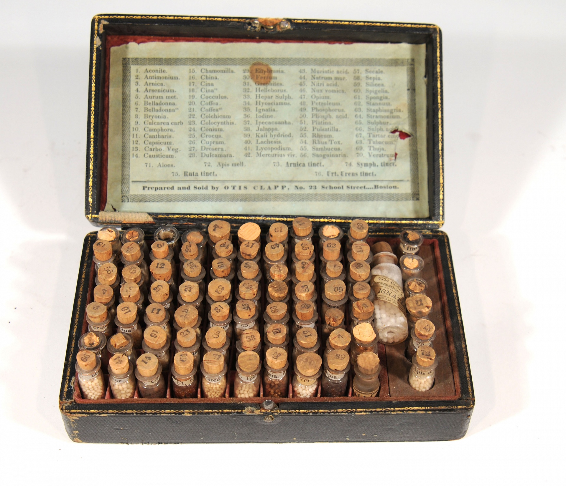 Magnified image for image #1