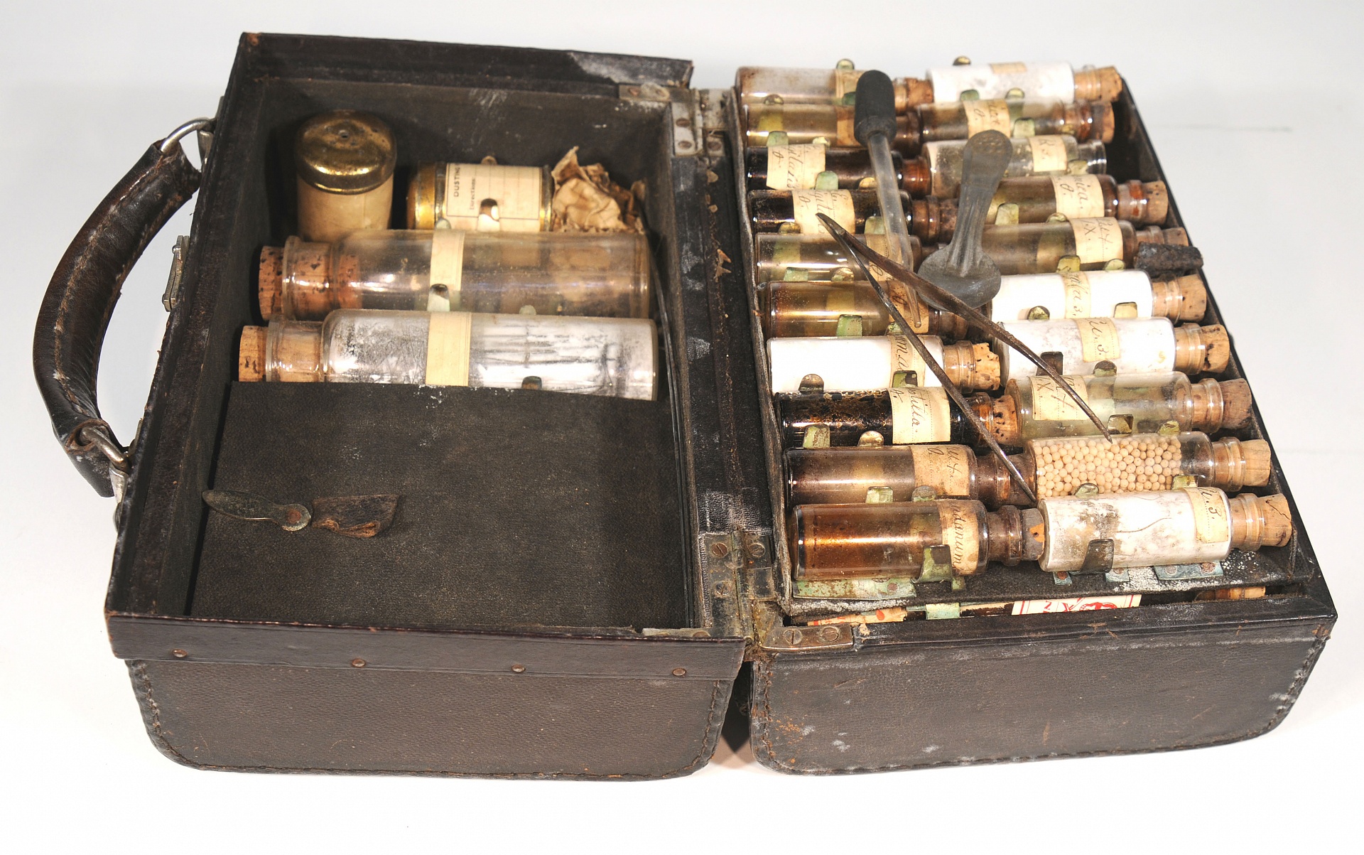 Magnified image for image #1