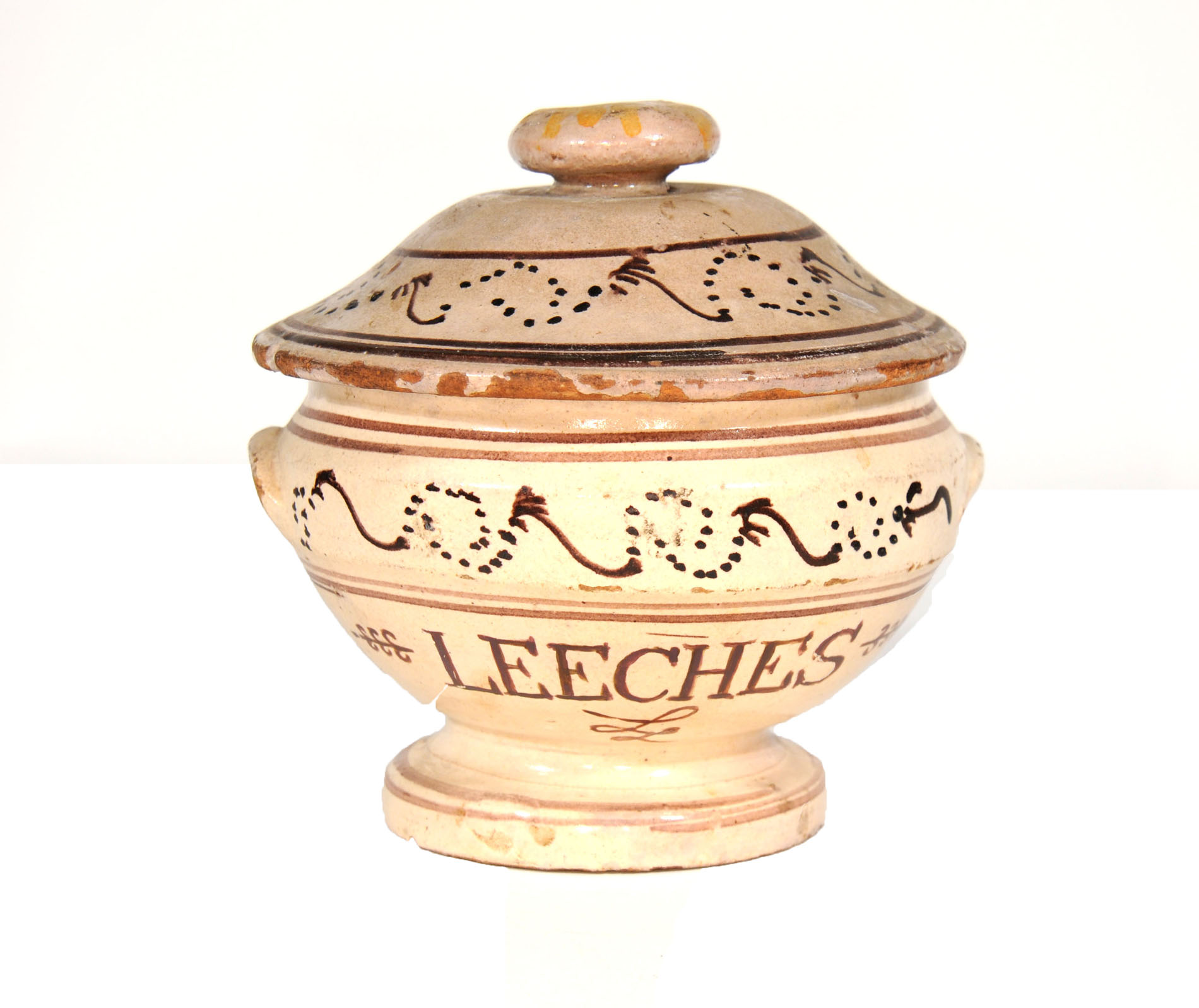 Magnified image for image #1