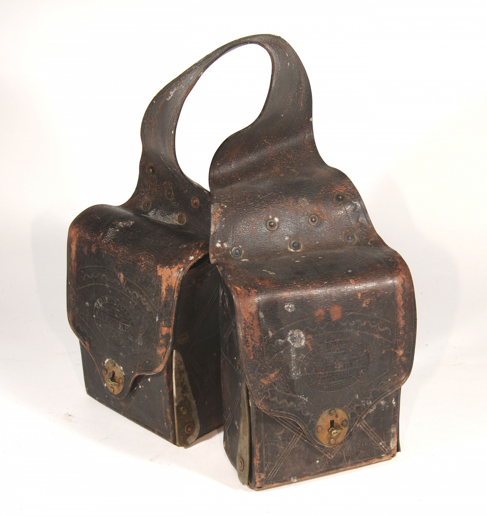 Magnified image for image #1