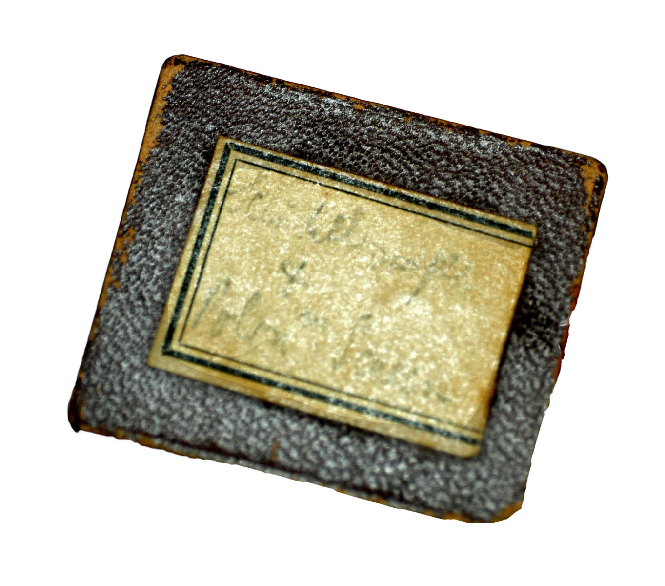 Magnified image for image #2