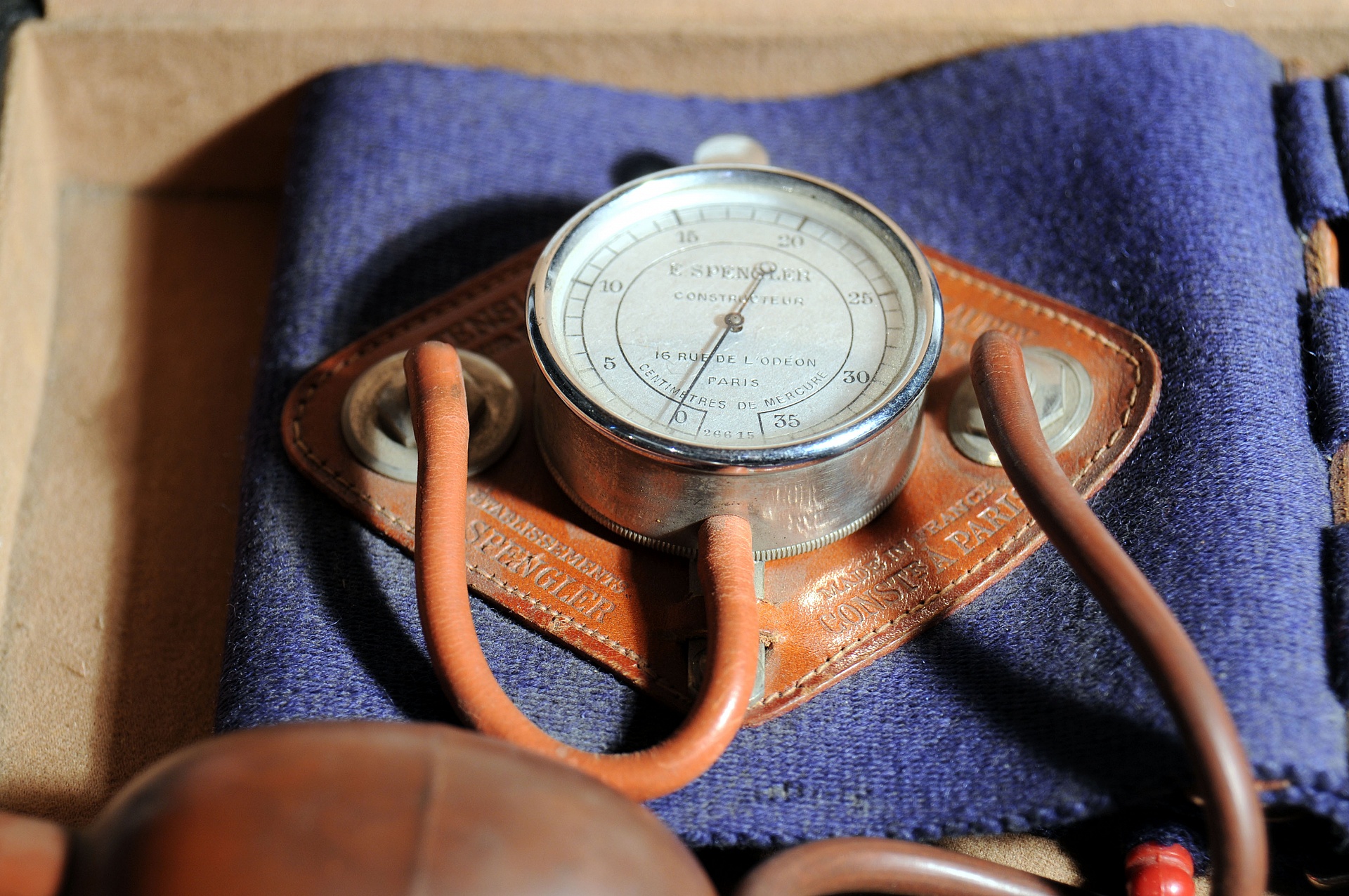 Magnified image for image #1