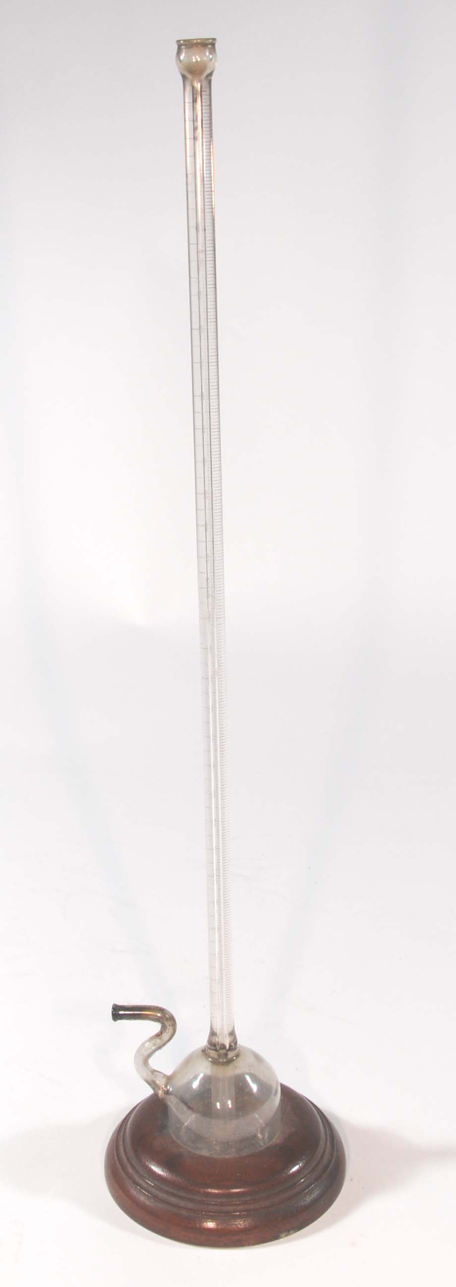 Magnified image for image #1