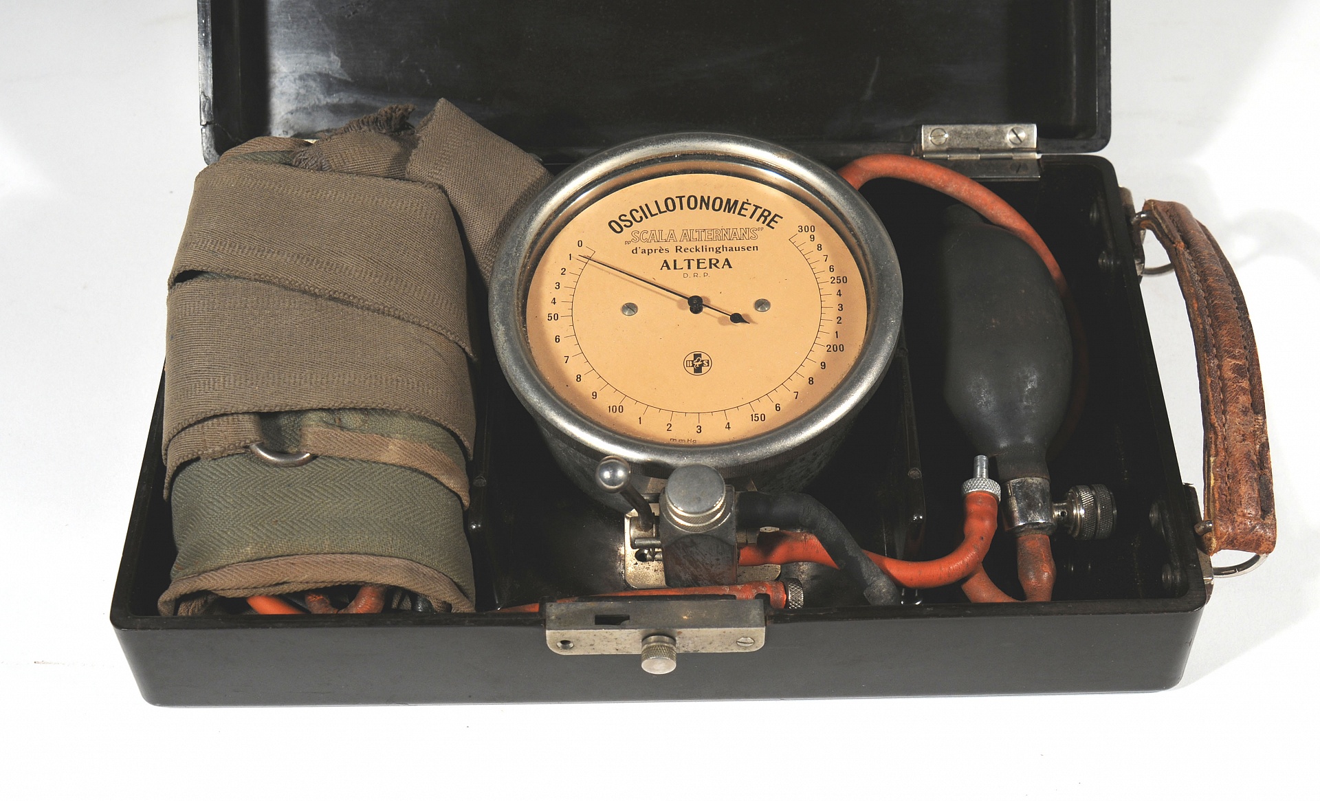 Magnified image for image #1