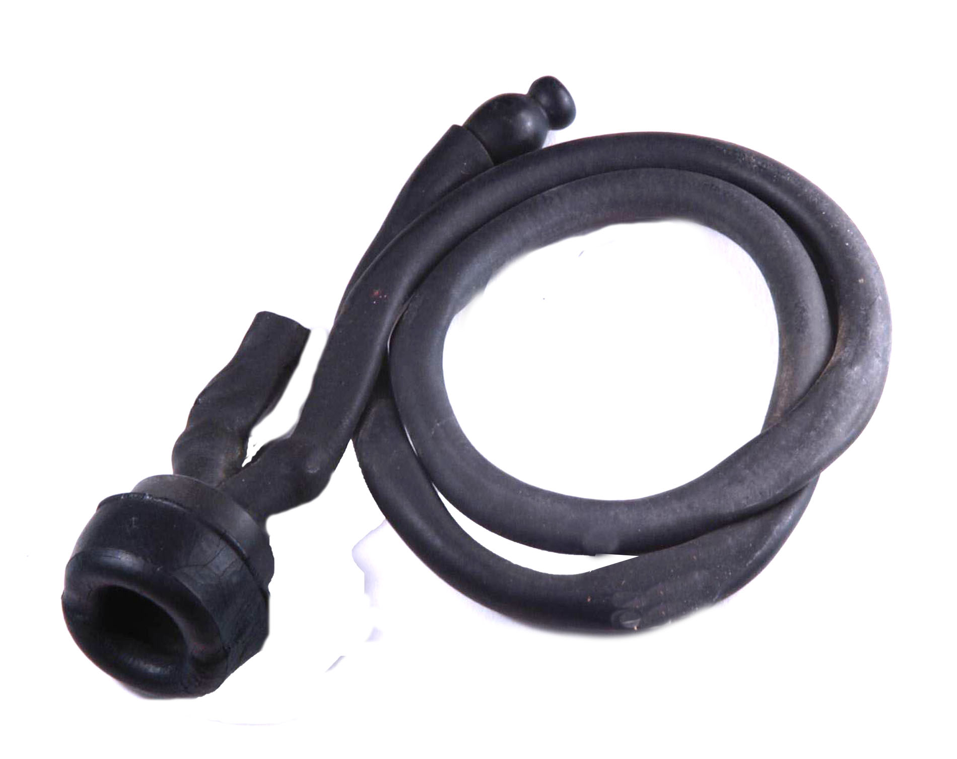 Magnified image for image #1