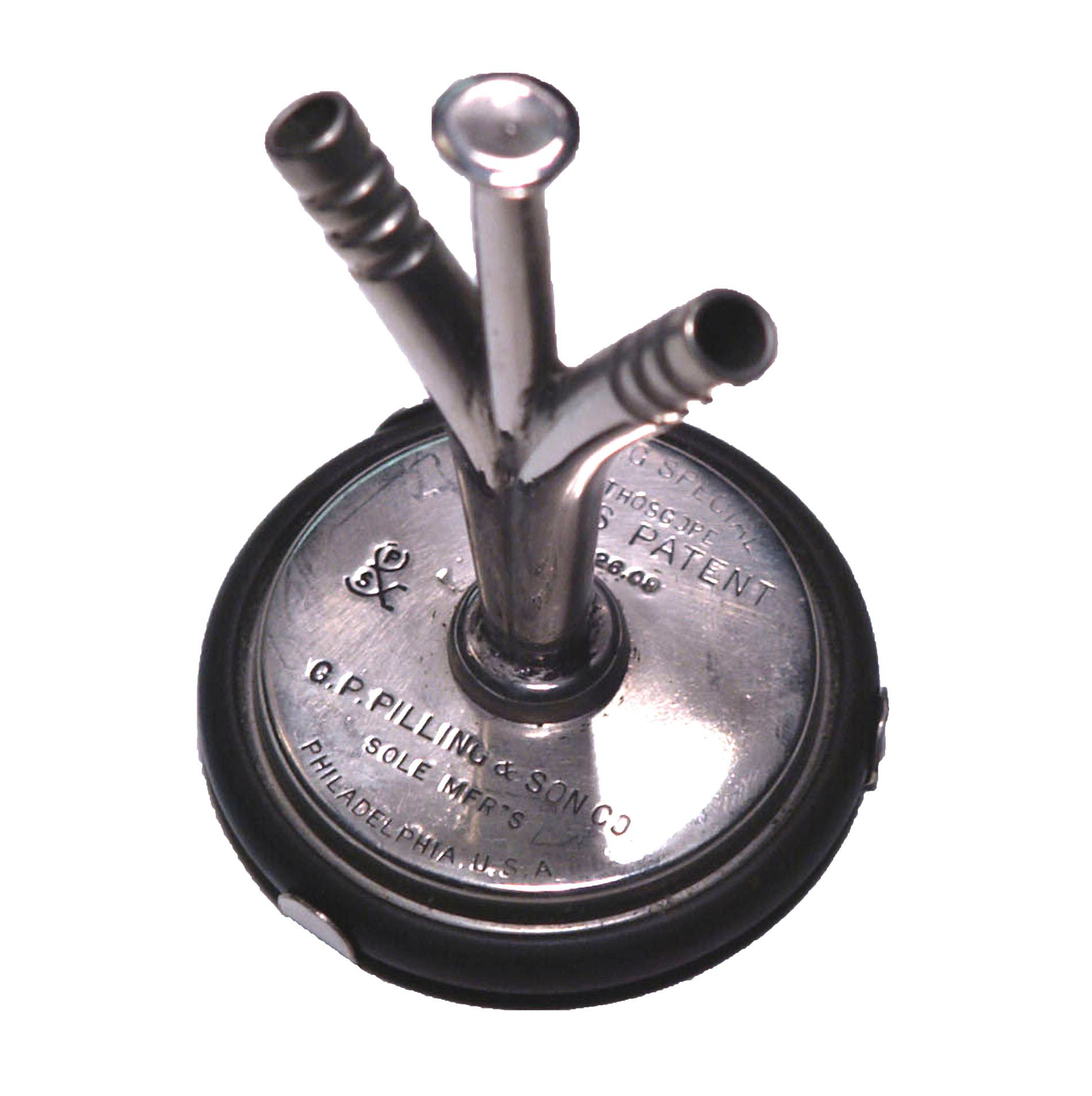 Magnified image for image #1