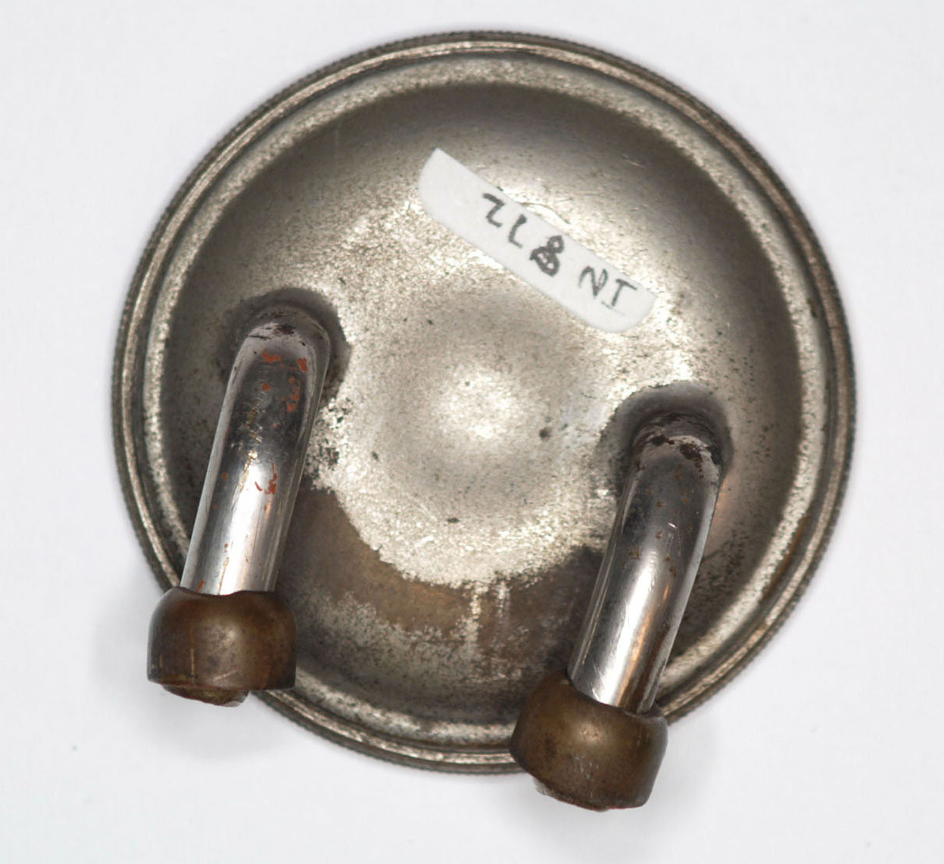 Magnified image for image #1