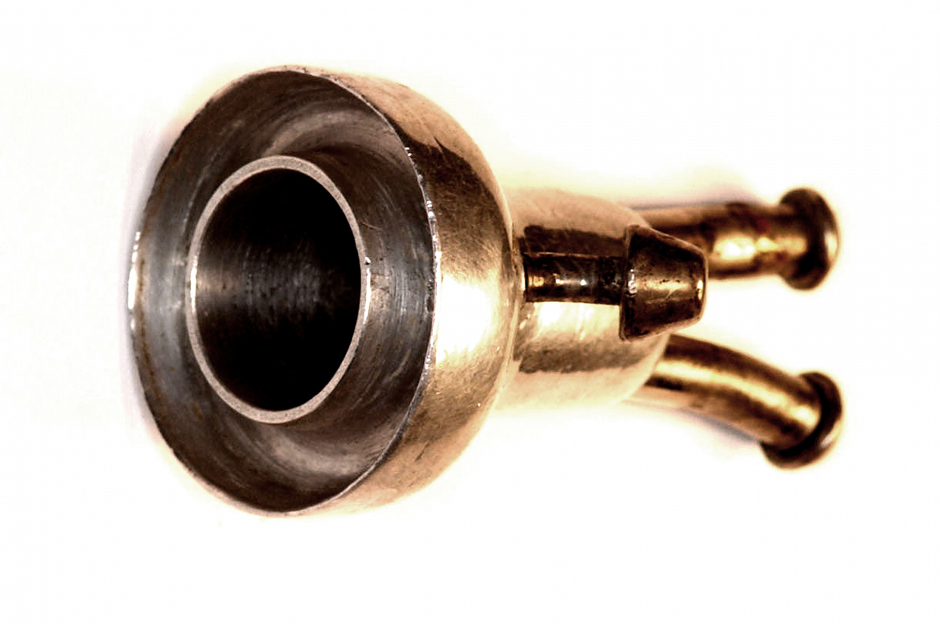 Magnified image for image #1