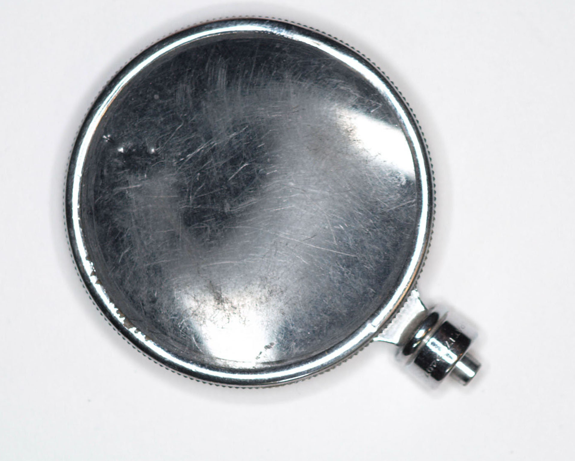 Magnified image for image #1