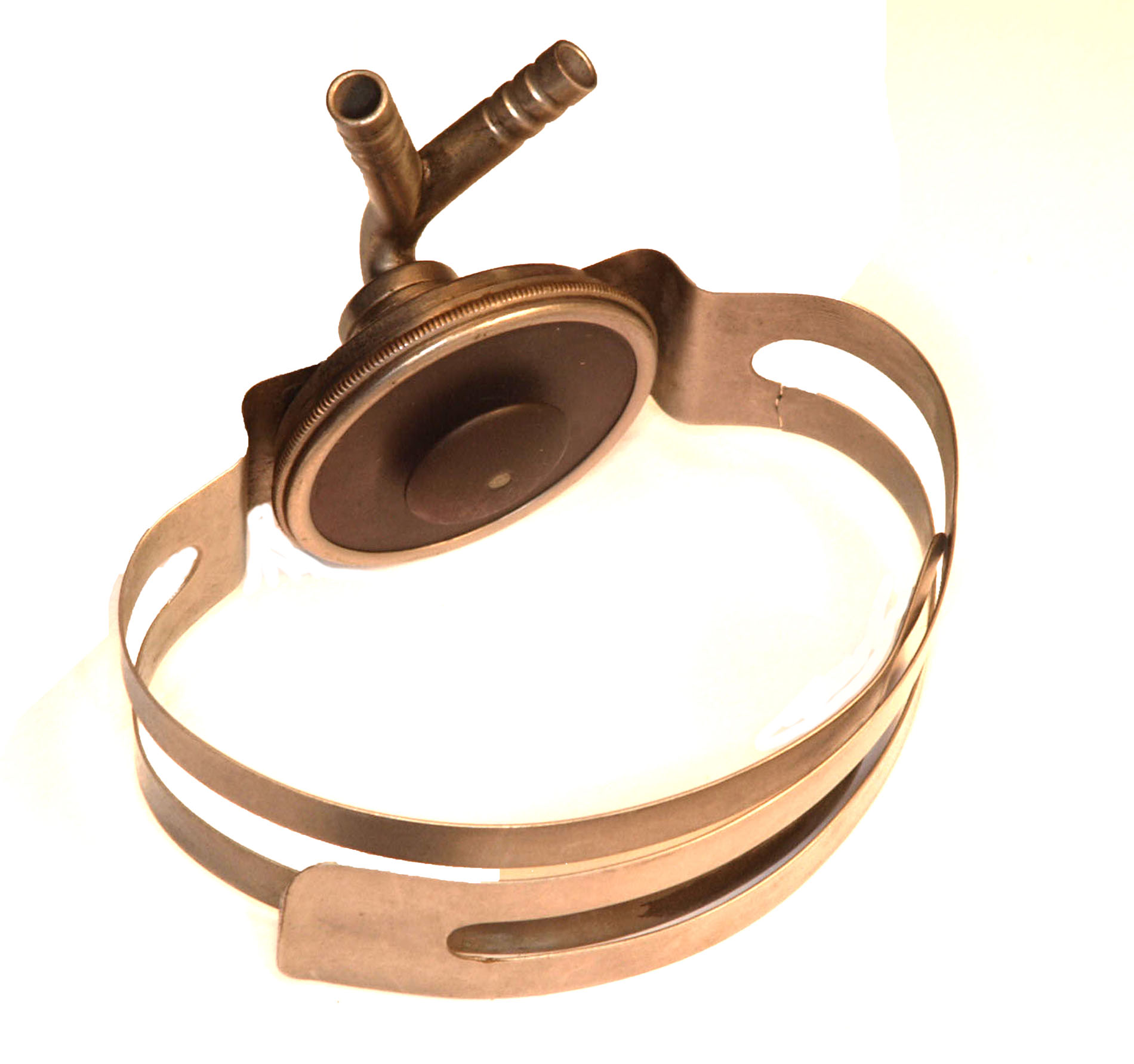 Magnified image for image #1