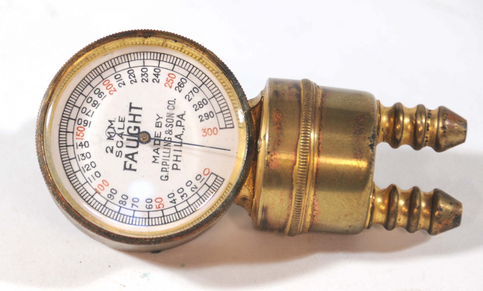 Magnified image for image #1