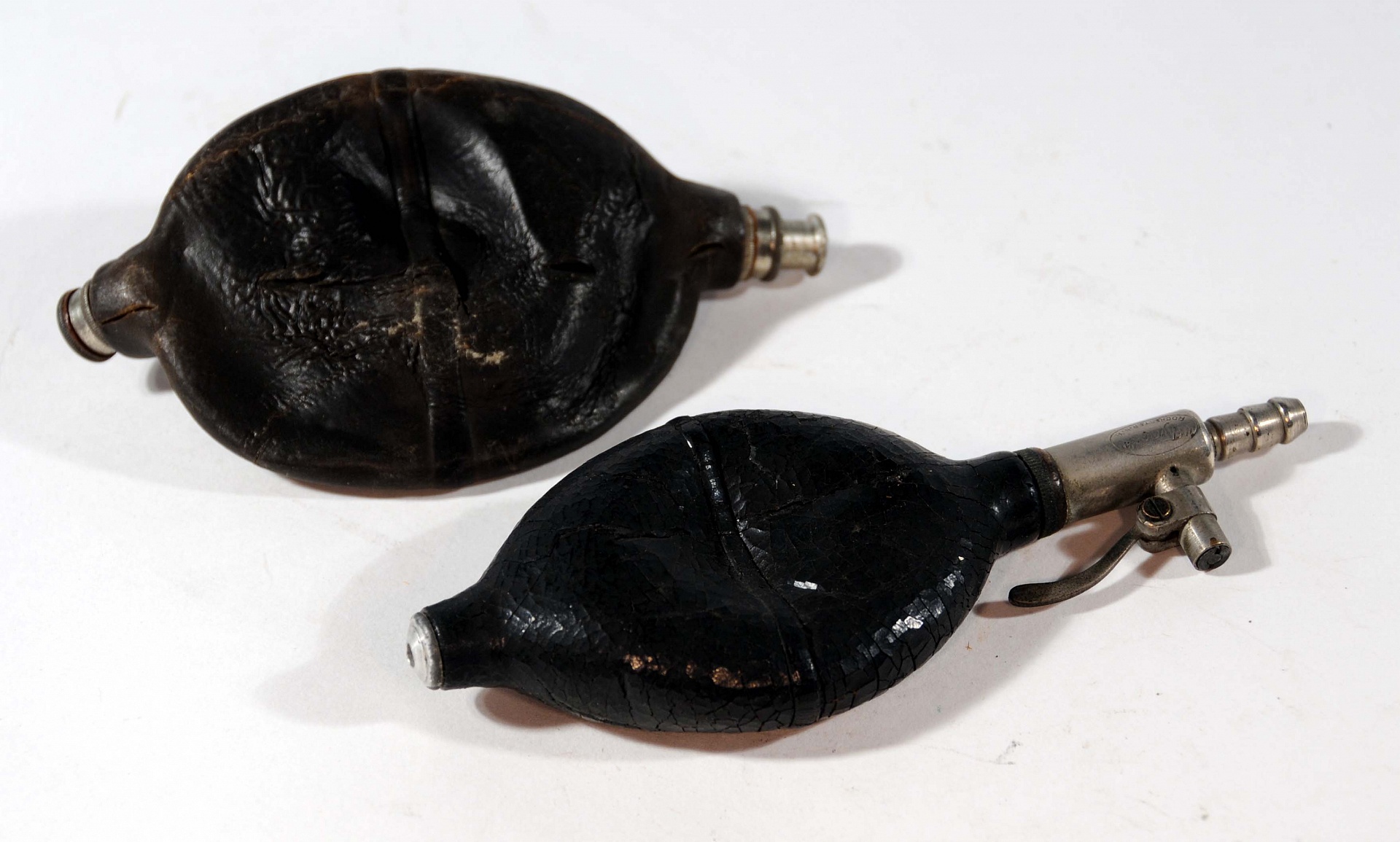 Magnified image for image #2