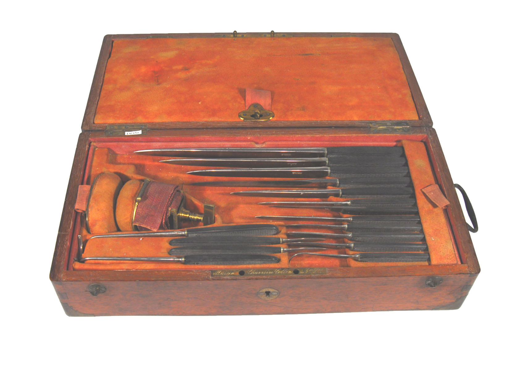 Magnified image for image #1