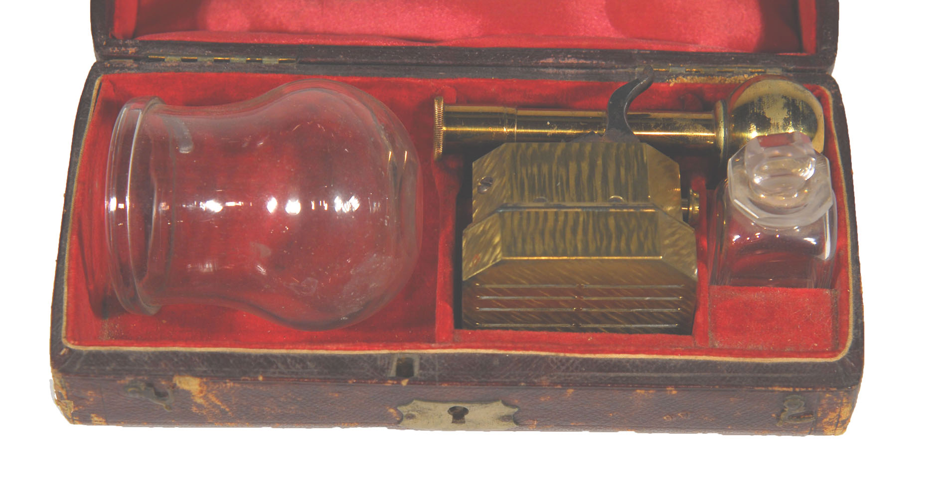 Magnified image for image #1