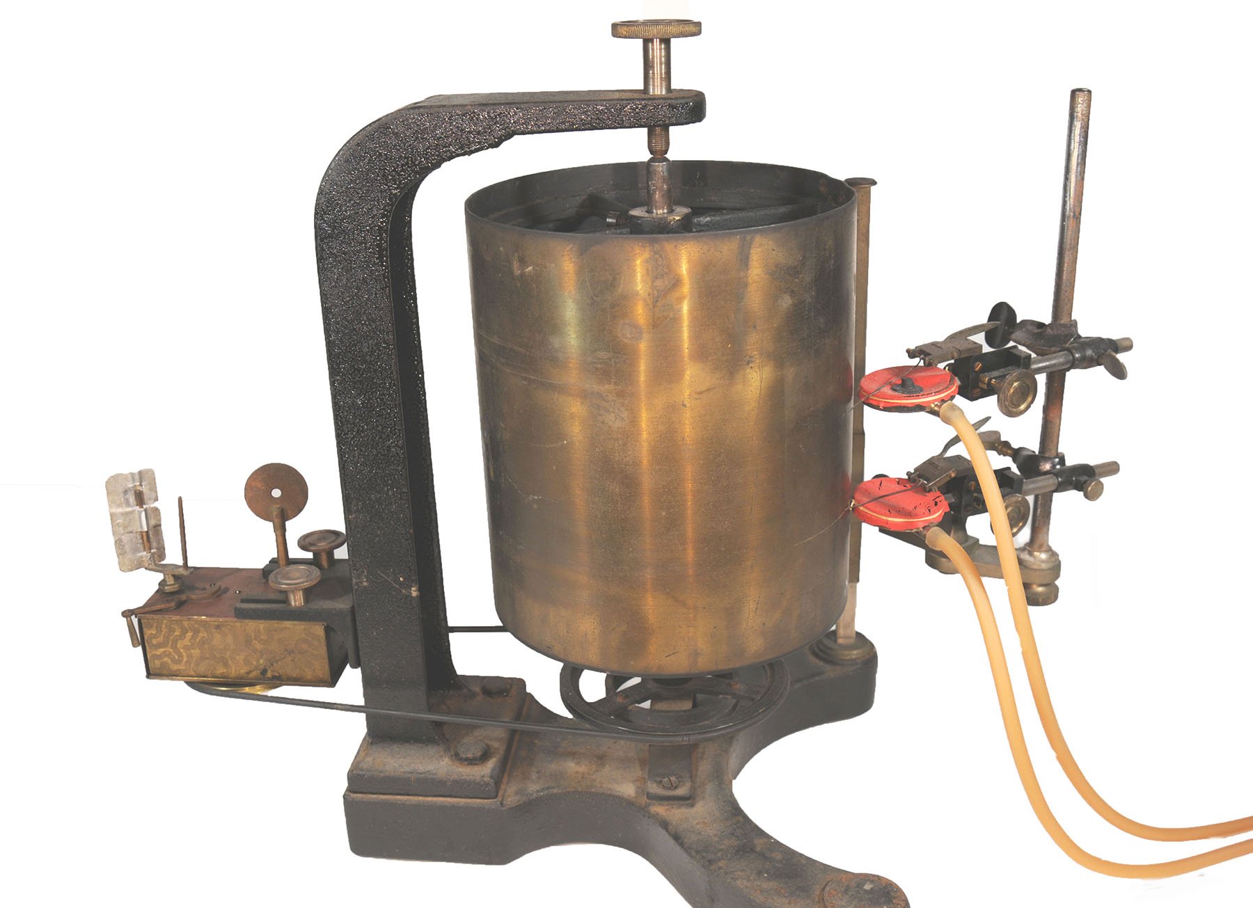 Magnified image for image #1