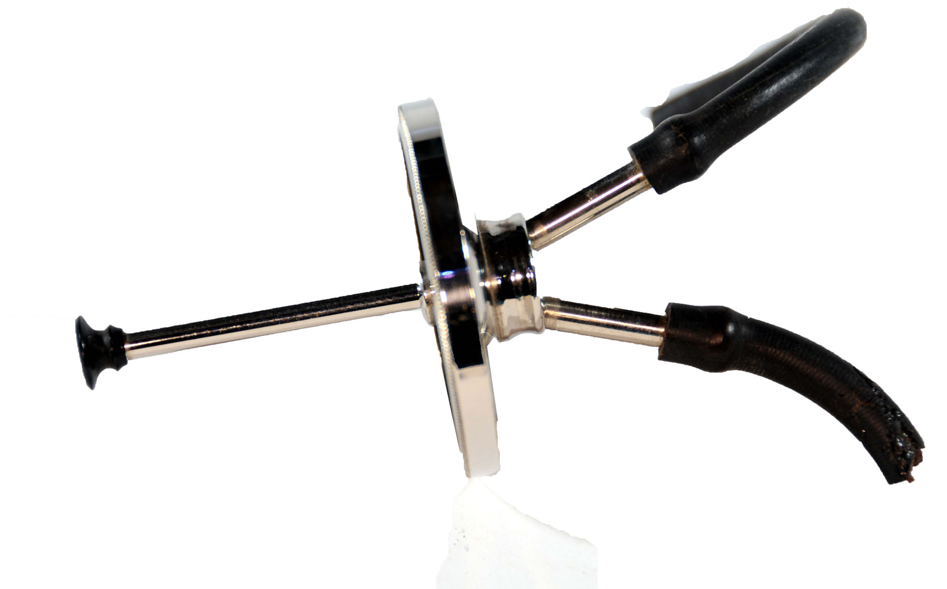 Magnified image for image #1