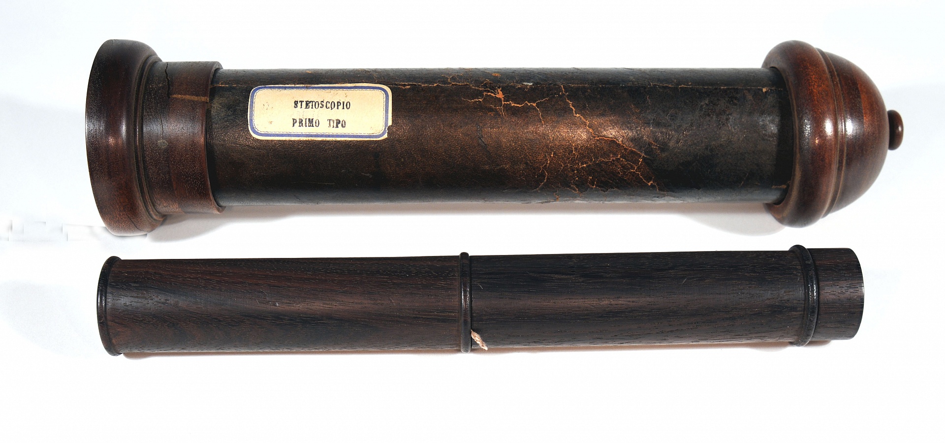 Magnified image for image #1