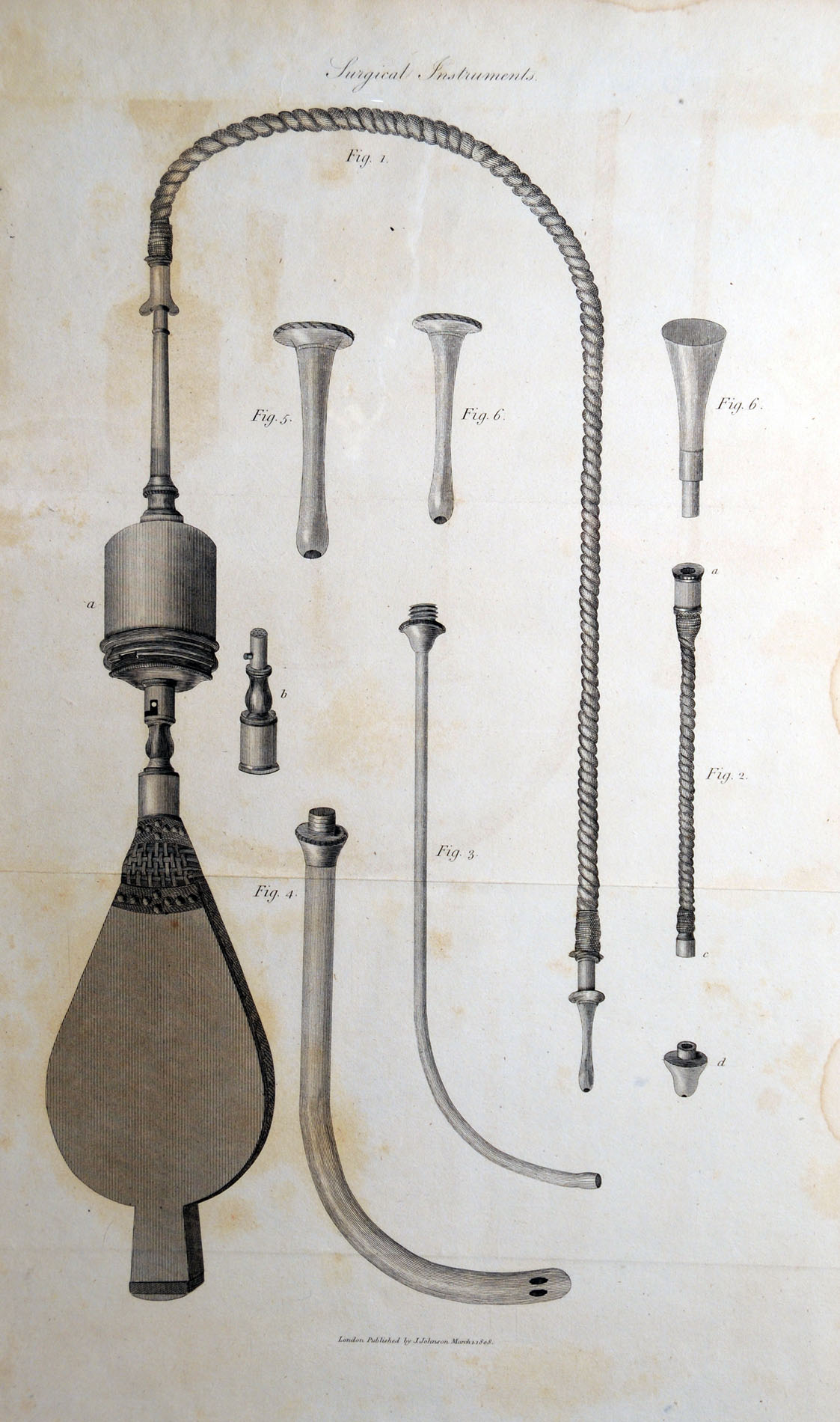 Magnified image for image #5