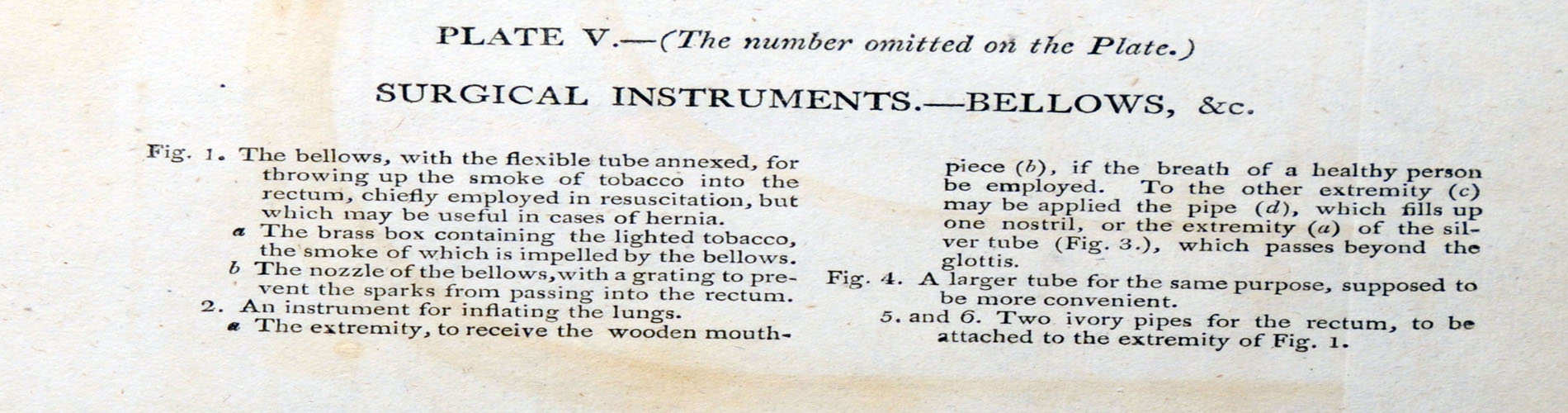 Magnified image for image #7